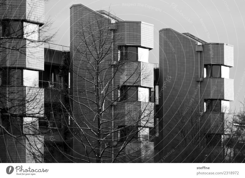 My Block II Sunlight House (Residential Structure) Facade Town Living or residing Goettingen Winter Black & white photo Exterior shot Deserted