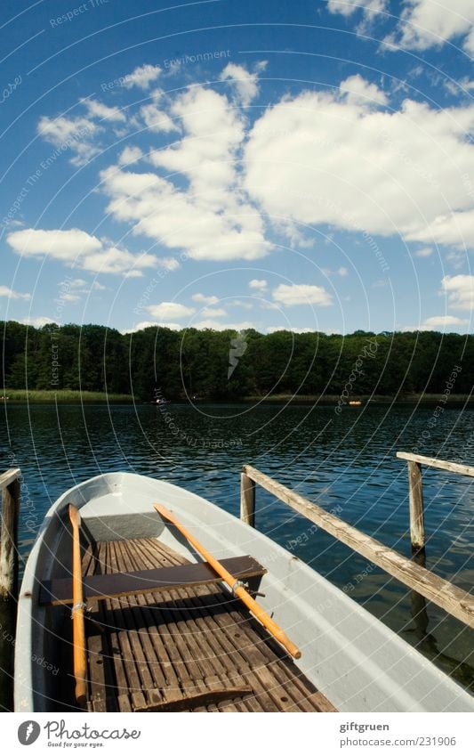 rowing tour Environment Nature Landscape Elements Water Sky Clouds Sun Summer Beautiful weather Forest Lakeside Rowboat Joy Happiness Oar Jetty Watercraft Wood