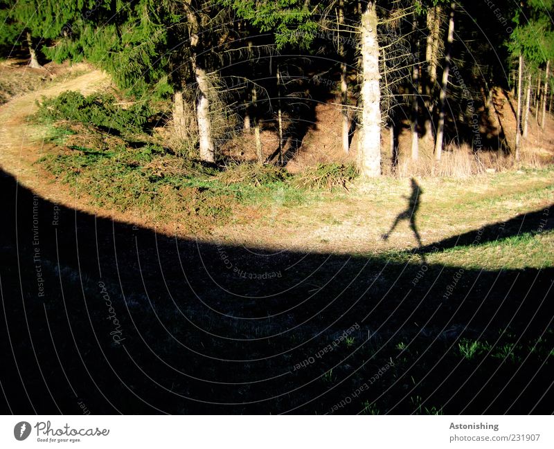 the shadow warrior Human being Masculine Legs Feet 1 Environment Nature Landscape Plant Earth Weather Beautiful weather Meadow Forest Hill Lanes & trails Going