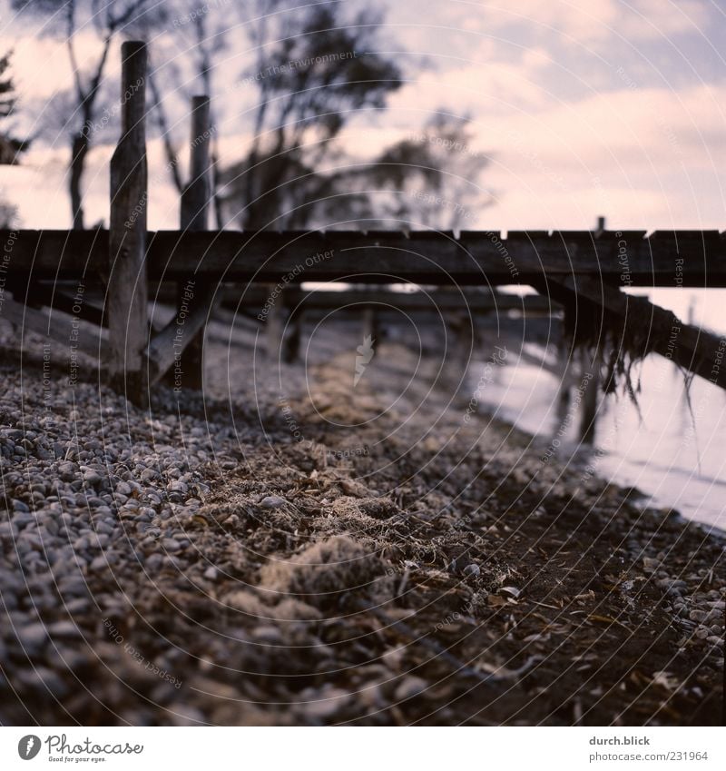 footbridge Lakeside Bay Footbridge Stone Wood Sadness Calm Subdued colour Exterior shot Deserted Twilight Shallow depth of field Worm's-eye view Beach Clouds