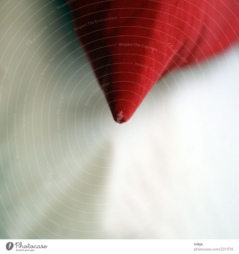 good morning, snow white and rose red Cushion Sheet Point Soft Red White Moody Good morning Colour photo Interior shot Close-up Detail Macro (Extreme close-up)