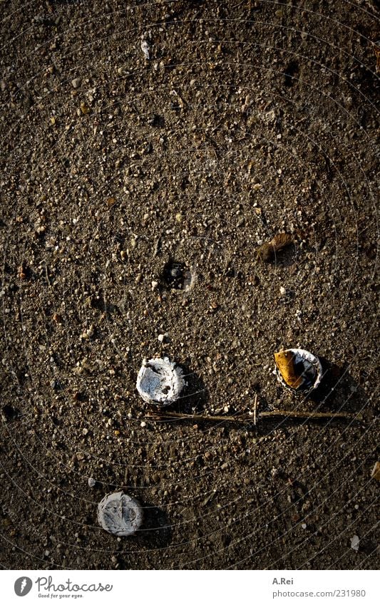 Berlin in spring Stone Concrete Ground Brown Loneliness Complex Arrangement Colour photo Subdued colour Exterior shot Close-up Detail Abstract Pattern Deserted