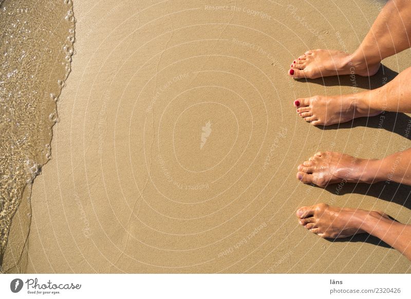 Feet on the beach Naxos Greece Couple In pairs Human being Beach Ocean Sand Water