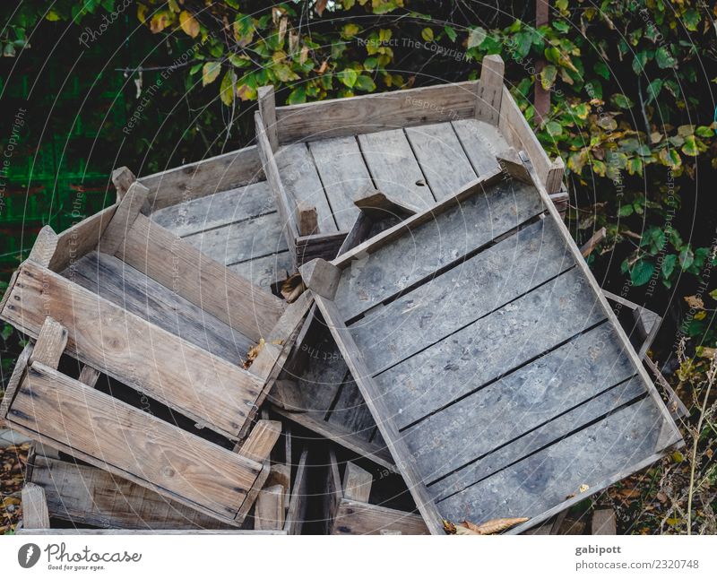 stacked wooden crates Gardening Field Economy Agriculture Forestry Trade Logistics Landscape Elements Earth Wood Old Box of fruit Wooden box Stack