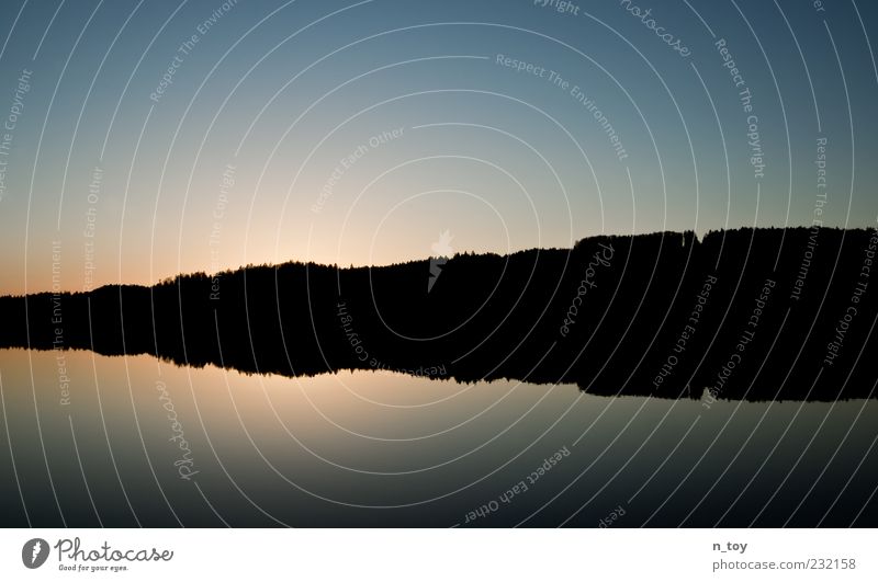 The forest is reflected again Nature Landscape Water Sky Cloudless sky Horizon Sunrise Sunset Sunlight Tree Forest Coast Lakeside Loneliness Infinity Bavaria