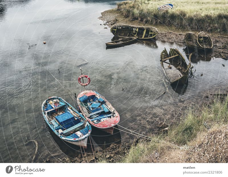 the longest rest Nature Landscape Plant Sand Water Summer Grass Coast Beach Bay Ocean Lie Dark Watercraft Wreck Tide Low tide Colour photo Subdued colour