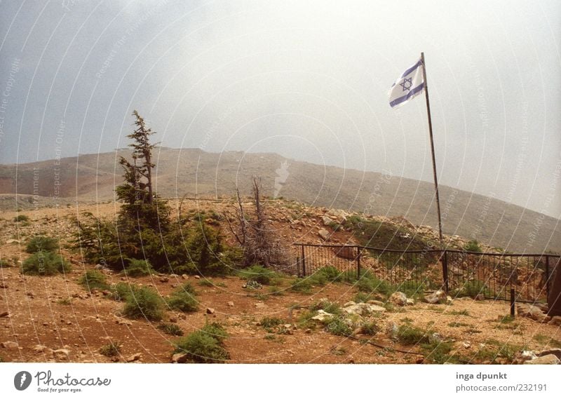 Golan heights Mountain Near and Middle East Environment Nature Landscape Plant Earth Sky Drought Tree Bushes Peak High mountain region Flag War Border Israel