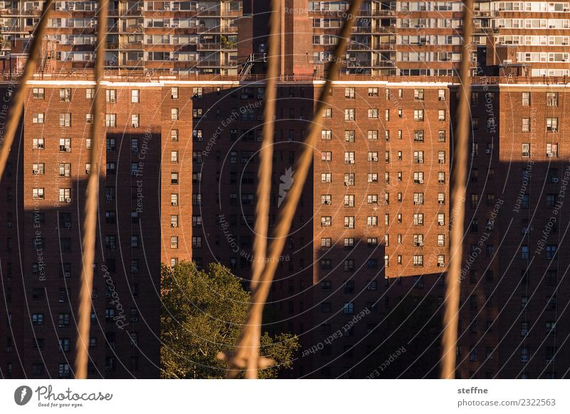 Living in the city IV Town Overpopulated House (Residential Structure) Facade Living or residing Prefab construction New York City Manhattan Shadow play