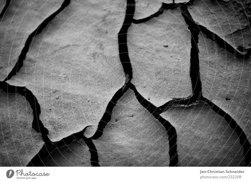 arid Earth Sand Climate Climate change Drought Environment Black & white photo Detail Macro (Extreme close-up) Deserted Neutral Background