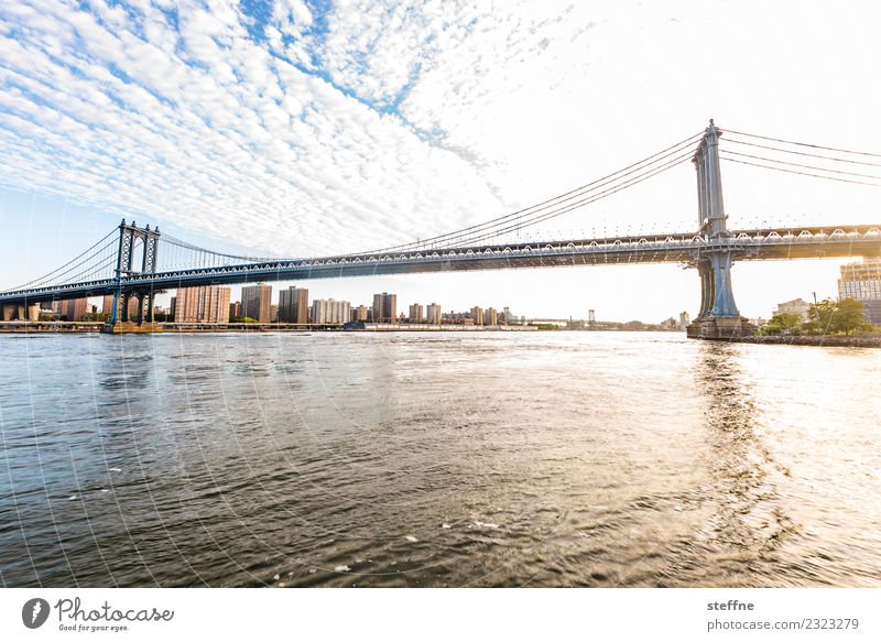 Bridge day: Manhattan Town New York City Brooklyn Manhattan Bridge East River Beautiful weather Colour photo Copy Space bottom Wide angle