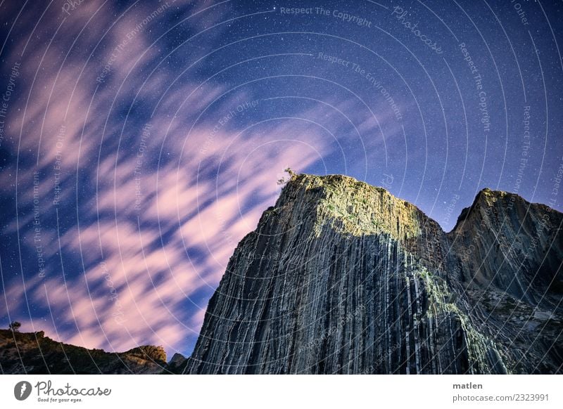 at night Nature Landscape Sky Clouds Stars Summer Beautiful weather Rock Mountain Deserted Dark Blue Brown Gray Green Pink Tree Starry sky Colour photo