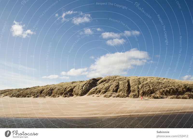 Straaaaaand. Nature Plant Sand Sky Clouds Beautiful weather Wind Bushes Hill Waves Coast Beach Bay North Sea Dune Low tide High tide Relaxation Natural Wild