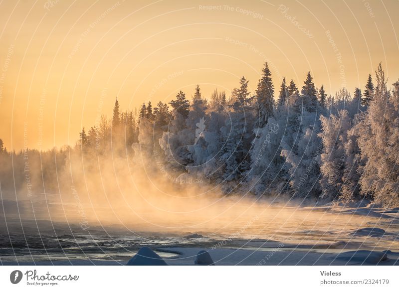 -28° III Finland Snow Snowfall Ice Frozen Rovaniemi Fog Sunset Orange Forest Fir tree White River Cold Winter