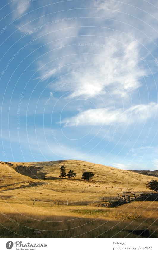 middle-earth Vacation & Travel Summer Mountain Nature Landscape Sky Sunlight Beautiful weather Grass Meadow Hill Wanderlust Colour photo Exterior shot Deserted