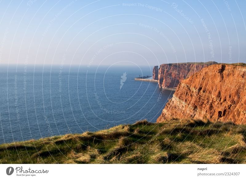 Red Cliffs Helgoland Vacation & Travel Tourism Far-off places Ocean Island Landscape North Sea Nature Colour photo Exterior shot Deserted Copy Space left