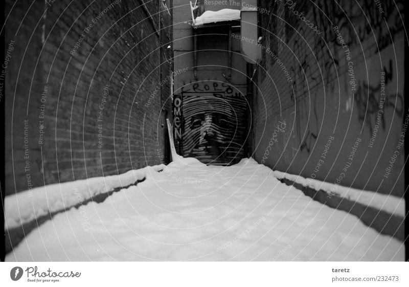 Hidden Omen Montreal Building Door Characters Graffiti Authentic Fantastic Curiosity Face Hide Winter Far-off places Alley Narrow Street art Calm Serene Wait