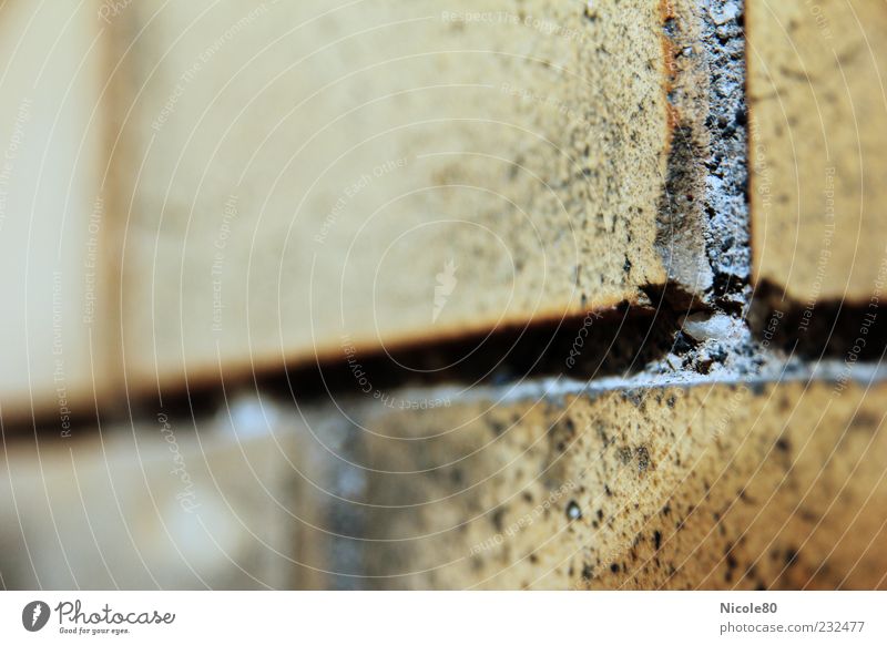 Brick in the wall Wall (barrier) Wall (building) Yellow Gray Stone Seam Colour photo Interior shot Deserted Copy Space left Copy Space right Copy Space top