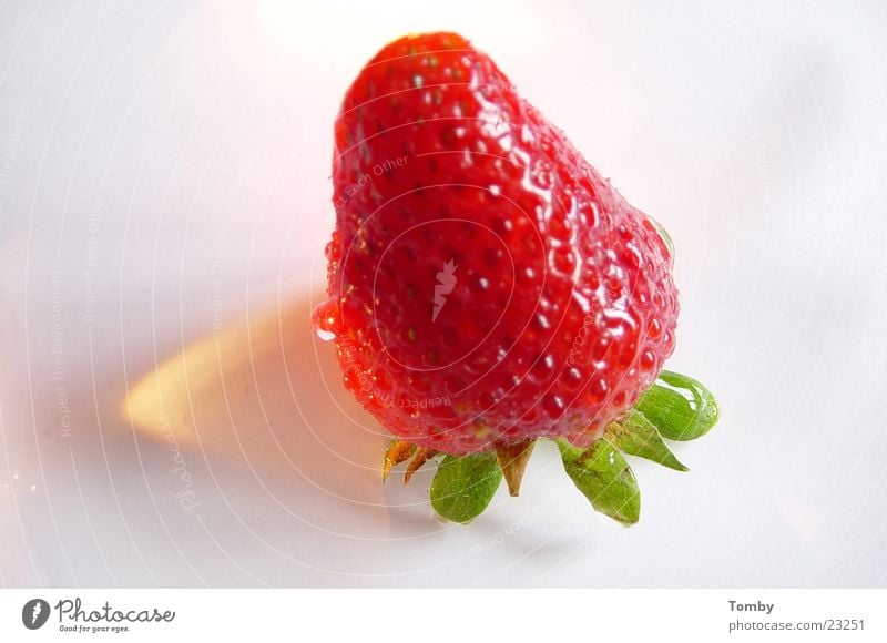 strawberry Fruity Red Summer Sweet Healthy Strawberry Shadow Macro (Extreme close-up) Nutrition