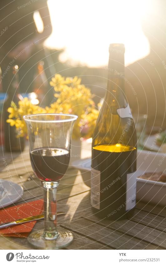 Summer Wine Food Beverage Alcoholic drinks Glass Esthetic Happiness Joie de vivre (Vitality) Spring fever Bottle of wine Wine glass Forsythia blossom Dazzle