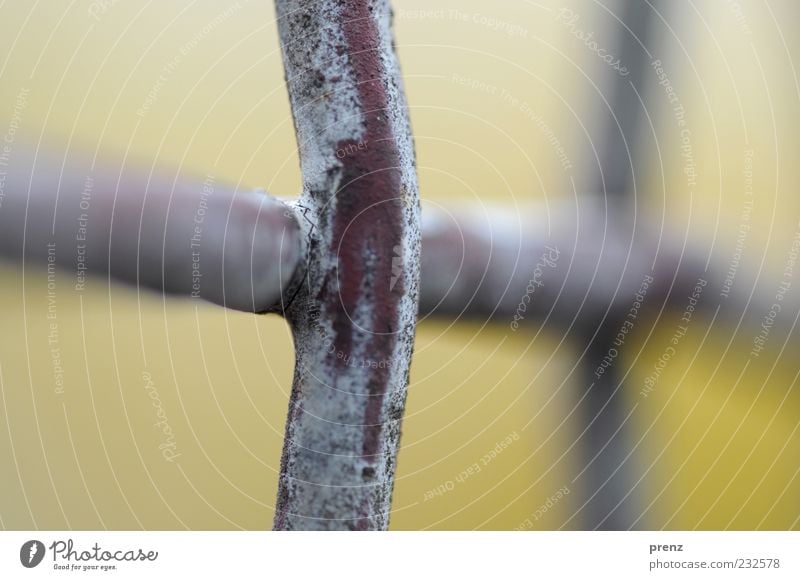 lattice Crucifix Line Gray Fence Metal Steel Grating Rod Barrier Crossed Close-up Macro (Extreme close-up) Colour photo Exterior shot Deserted