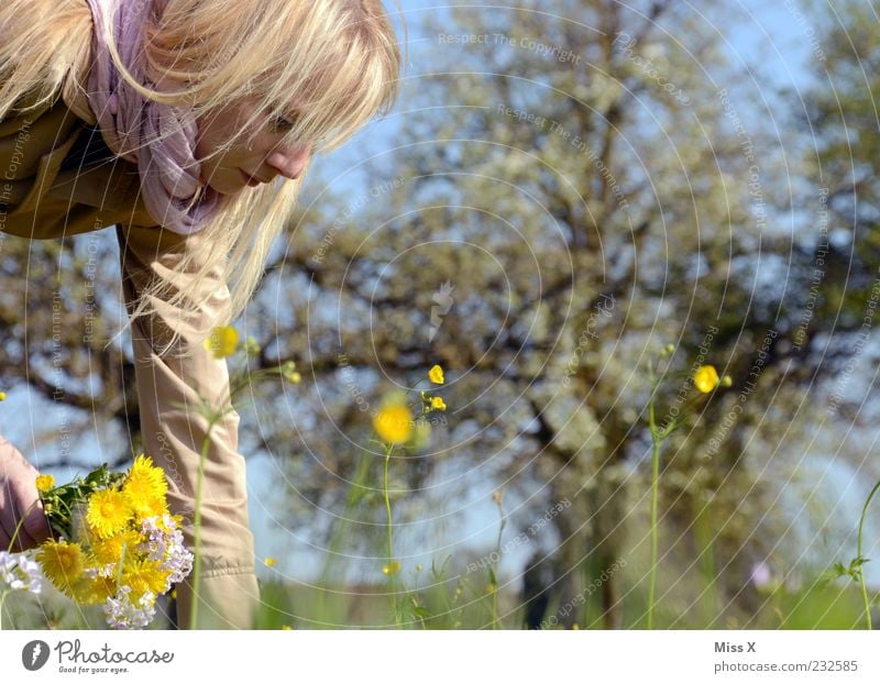 flower girl Human being Feminine Young woman Youth (Young adults) Woman Adults 1 18 - 30 years Nature Spring Summer Beautiful weather Plant Tree Leaf Blossom