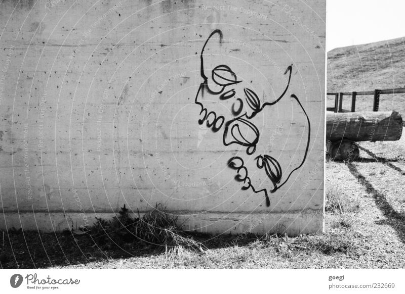 decay Meadow Hill Wall (barrier) Wall (building) Facade Concrete Graffiti Line Death Shadow Tree trunk Black & white photo Exterior shot Deserted