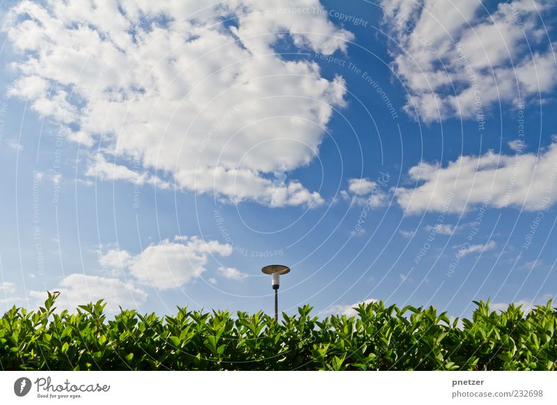 Sky Hedge Lantern Environment Nature Clouds Spring Summer Climate Climate change Weather Beautiful weather Plant Bushes Leaf Foliage plant Blue Green