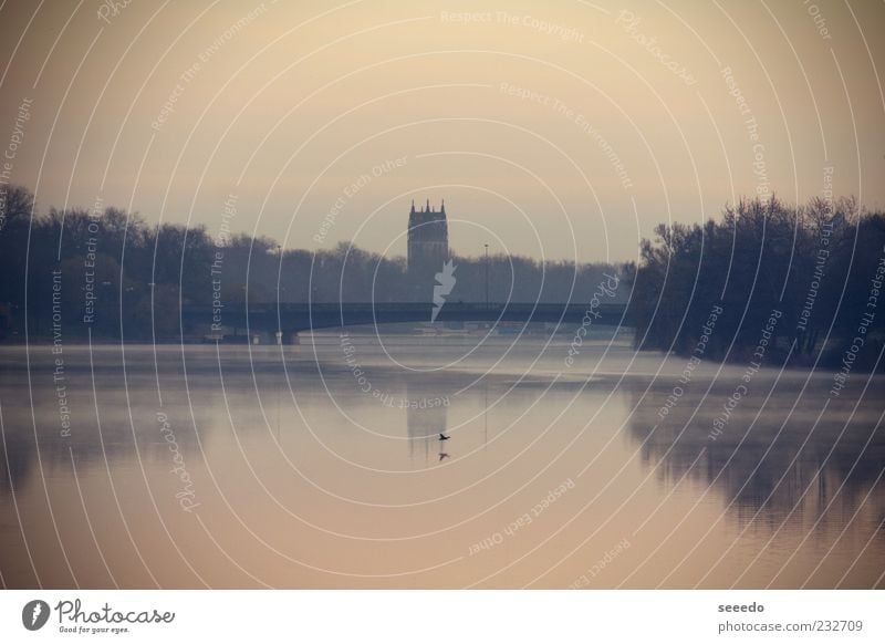 Early morning Water Tree Lake Münster Germany Small Town Old town Church Bridge Tower Architecture Brown Gray Peaceful Contentment Elegant Subdued colour