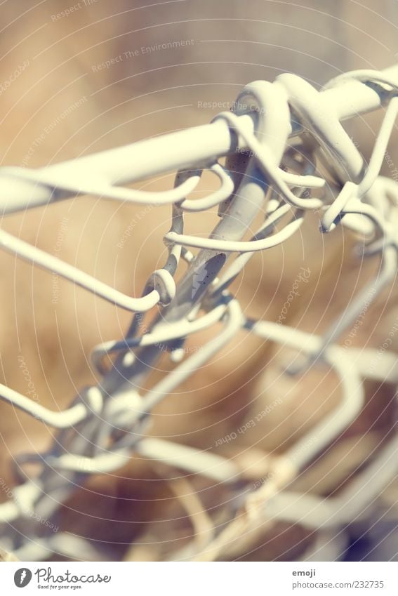 Easter Nest I Network Wire Wire fence Wire mesh Wire basket Wiry Colour photo Exterior shot Day Shallow depth of field Macro (Extreme close-up) Detail