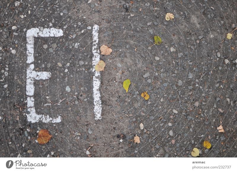 Suitable for the festival Egg Street Sign Characters Gray Asphalt Easter Colour photo Exterior shot Abstract Structures and shapes Deserted Copy Space right Day