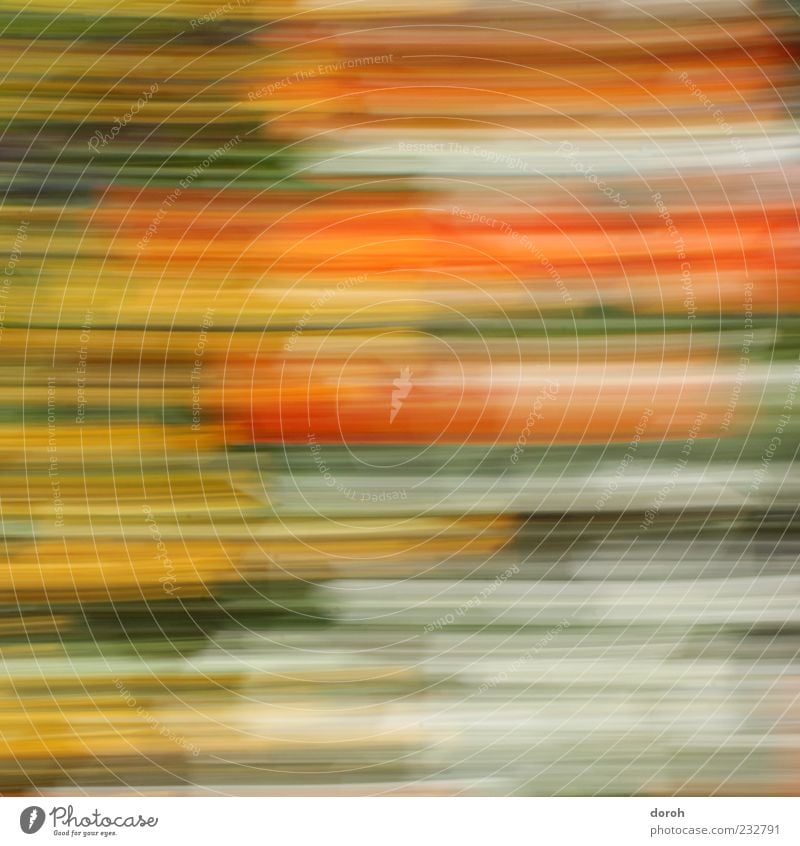 organics Movement Energy Colour Modern Fleeting glance Colour photo Multicoloured Exterior shot Experimental Abstract Motion blur Bird's-eye view Nature