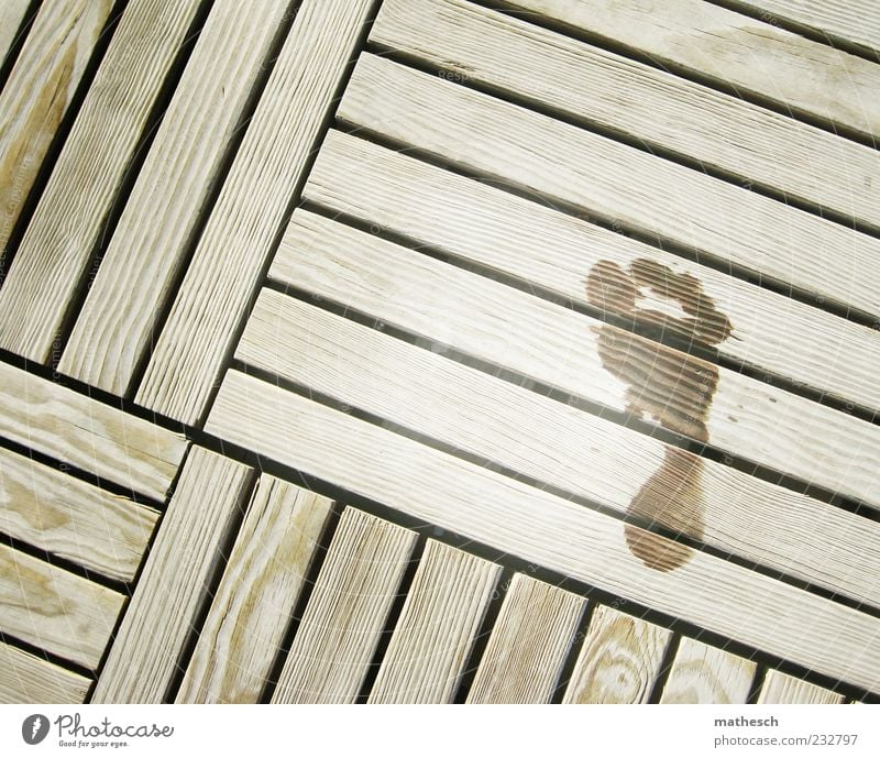 30 Feet Wood Wet Summer Footbridge Footprint Sauna Deserted Copy Space left Copy Space top Day Bird's-eye view Barefoot 1