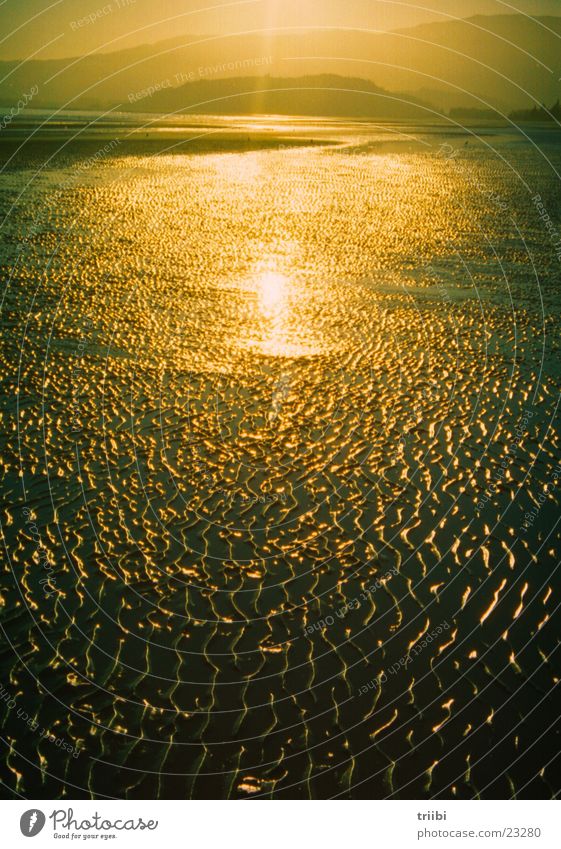 golden bay Beach Sand structure