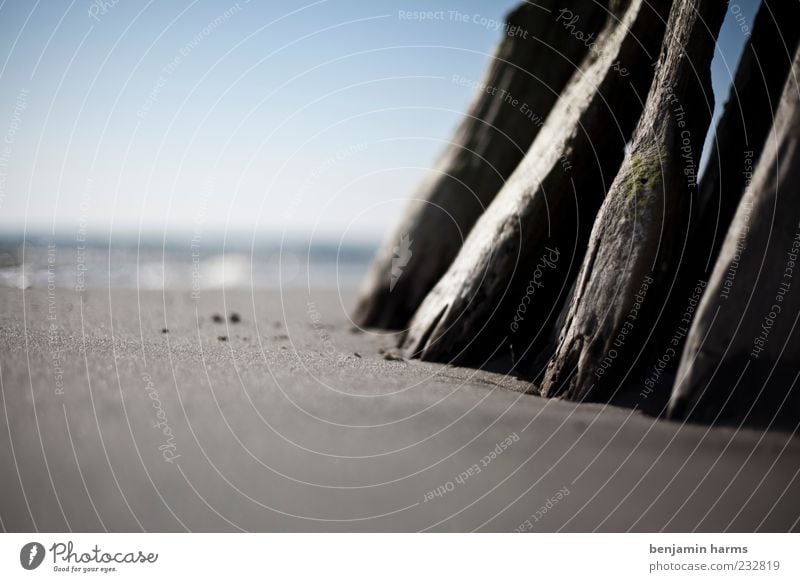 day at the sea #5 Nature Landscape Sand Wooden stake Coast Beach Baltic Sea Ocean Calm Colour photo Exterior shot Deserted Day Shallow depth of field