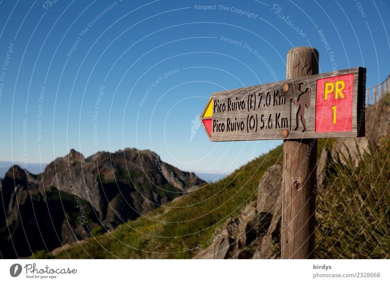 The hiking trail to Madeira's highest peak Leisure and hobbies Vacation & Travel Trip Island Mountain Hiking Nature Cloudless sky Beautiful weather Rock