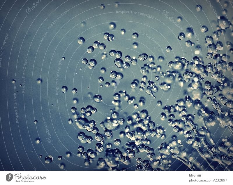 drip drop Water Drops of water Fluid Glittering Wet Clean Blue White Moody Thirst Colour photo Close-up Deserted Flash photo Shallow depth of field Pure