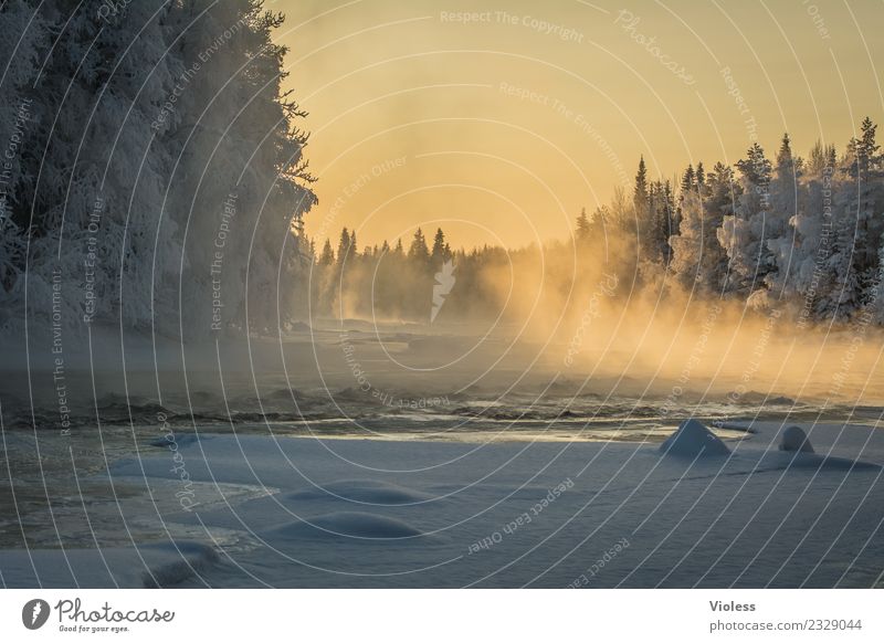 -28° Finland Snow Snowfall Ice Frozen Rovaniemi Fog Sunset Orange Forest Fir tree White River Cold