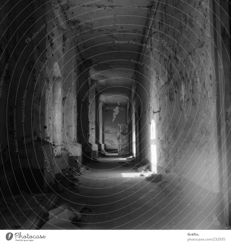 gang Industrial plant Factory Wall (barrier) Wall (building) Window Hallway Stone Old Dirty Dark Creepy Broken Gray Black White Stagnating Decline Transience