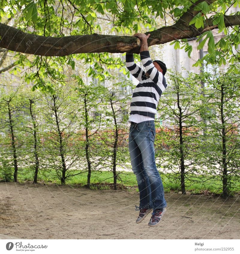 Man in jeans and striped sweater is doing pull-ups on a thick branch Life Leisure and hobbies Fitness Sports Training Human being Masculine Adults 1