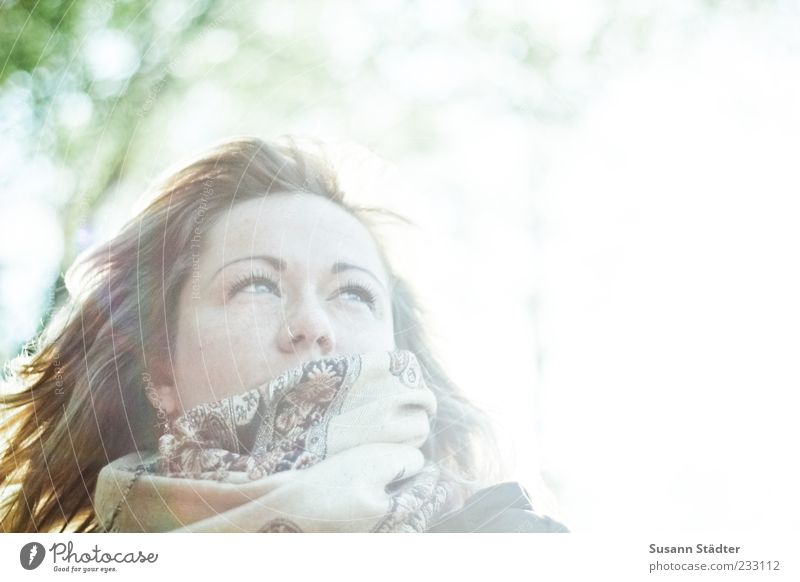 suse Human being Feminine Head Hair and hairstyles Face Observe To enjoy Bright Beautiful Self-confident Optimism Longing Rag Long-haired Freckles