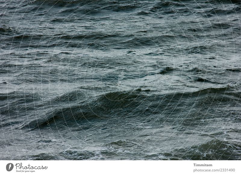 timeless | waves Environment Nature Elements Water Green Black Emotions North Sea Waves Swell Denmark Colour photo Exterior shot Deserted Day