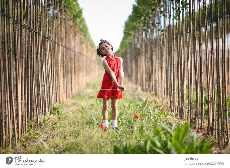 Little girl in poppies field wearing beautiful dress Lifestyle Joy Happy Beautiful Playing Summer Child Human being Feminine Baby Woman Adults Infancy 1