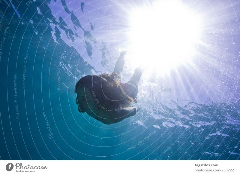 solvent Mauritius Dive Swimming & Bathing Float in the water Refrigeration Summer Sun Beam of light Woman Life Abstract Water Ocean Surface of water