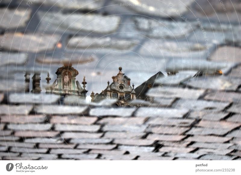 Brussels Culture Belgium Town Old town House (Residential Structure) Manmade structures Architecture Roof Tourist Attraction Historic Art Puddle Street Water