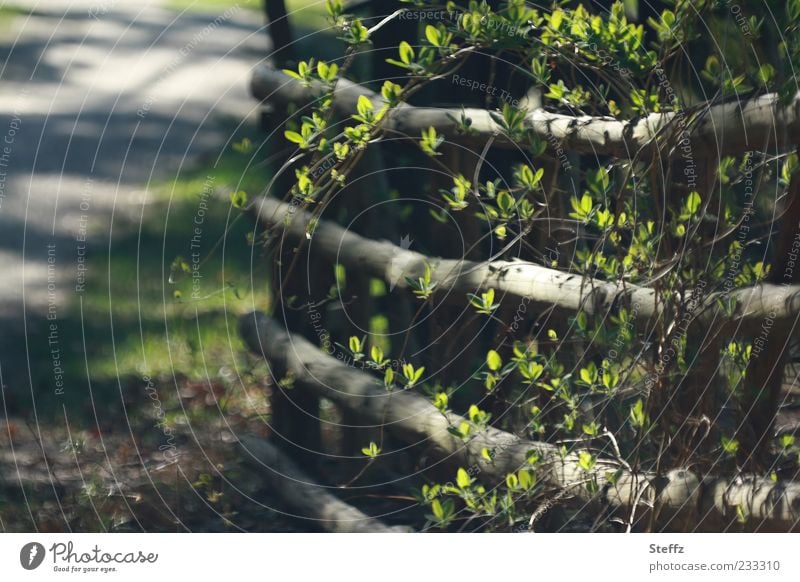 Spring in the village Garden fence Village Village road Country life Fence Wooden fence Simple naturally Rural Overland route Beautiful weather Gap in the fence