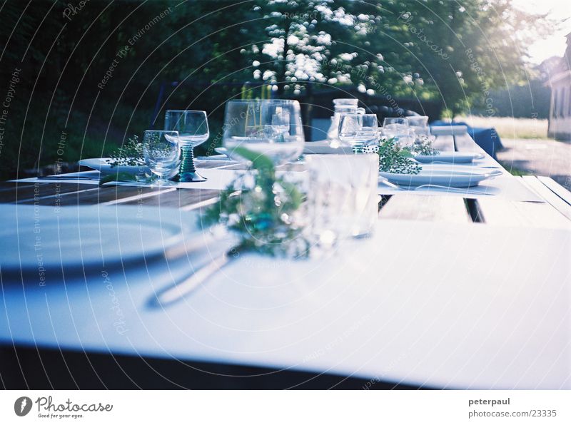 delights of the table Table Wine glass Set meal Summer evening Edge of the forest Back-light Nutrition Exterior shot