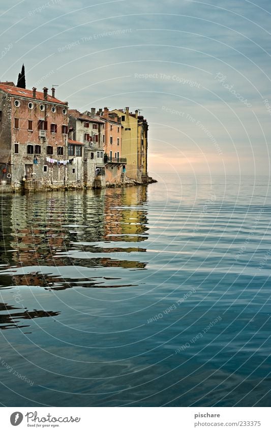 Rovinj Ocean Village Fishing village Port City House (Residential Structure) Wanderlust Calm Tourism Vacation & Travel Croatia Colour photo Exterior shot