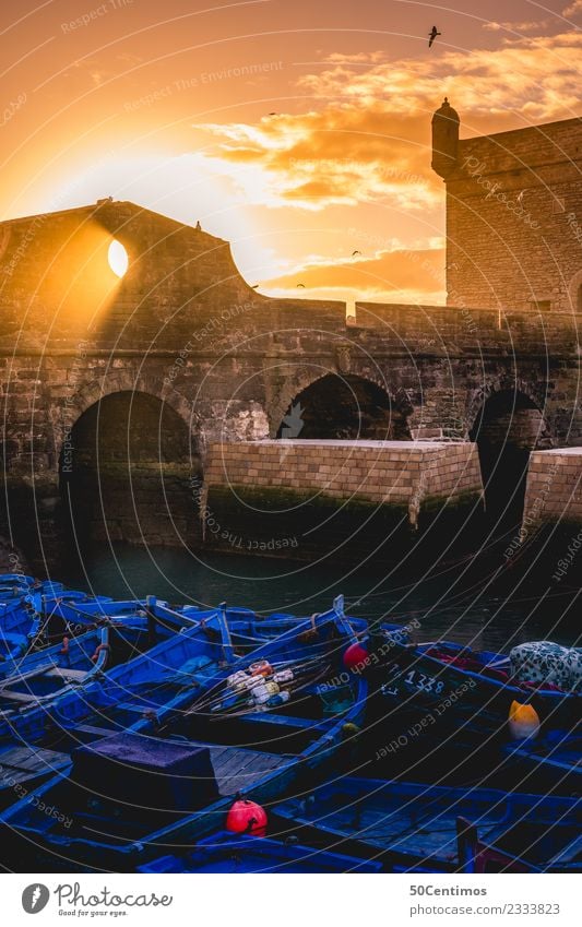 Sunset in the port of Essaouira, Morocco Sunlight Harbour Port City boats Exterior shot Water Blue Tourism Colour photo Deserted Sky