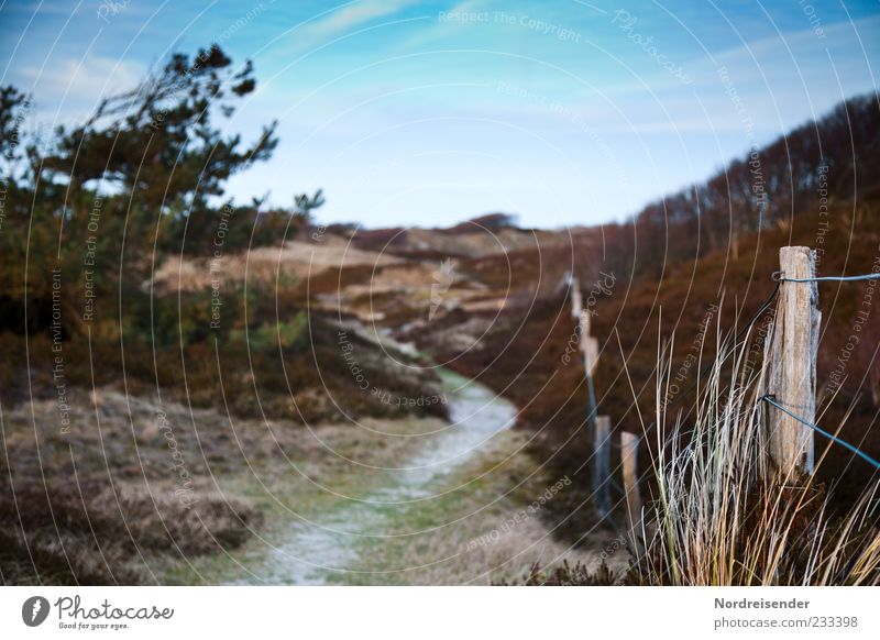 Spiekeroog | Painting Vacation & Travel Tourism Trip Summer Nature Landscape Plant Sky Beautiful weather Tree Grass Bushes Coast Lanes & trails Moody Calm