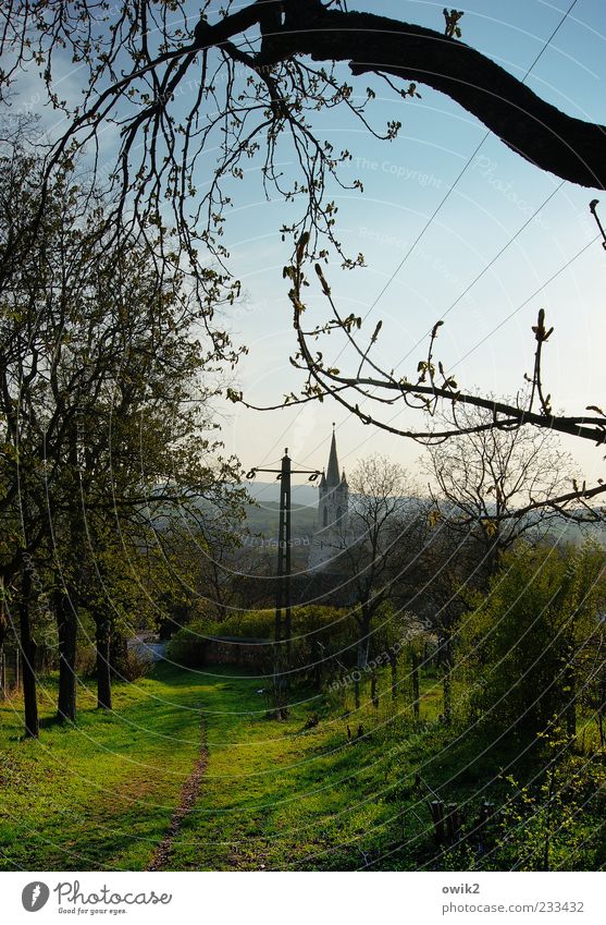 Land of Light Far-off places Energy industry Environment Nature Landscape Plant Cloudless sky Spring Climate Beautiful weather Tree Grass Twigs and branches